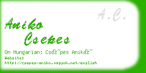 aniko csepes business card